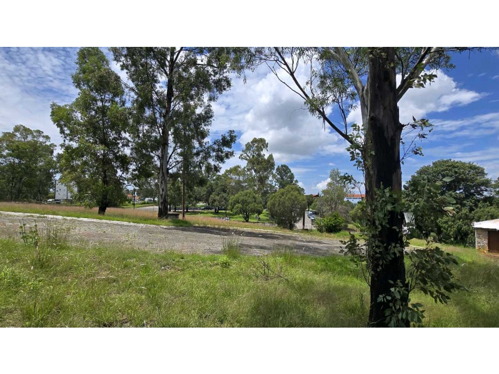 TERRENO EN VENTA EN EL ROBLE, HARAS CAMPESTRE - 4