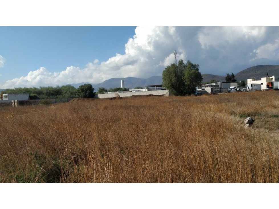 Terreno en venta en El Saucillo, Mineral de la Reforma Hidalgo - 5