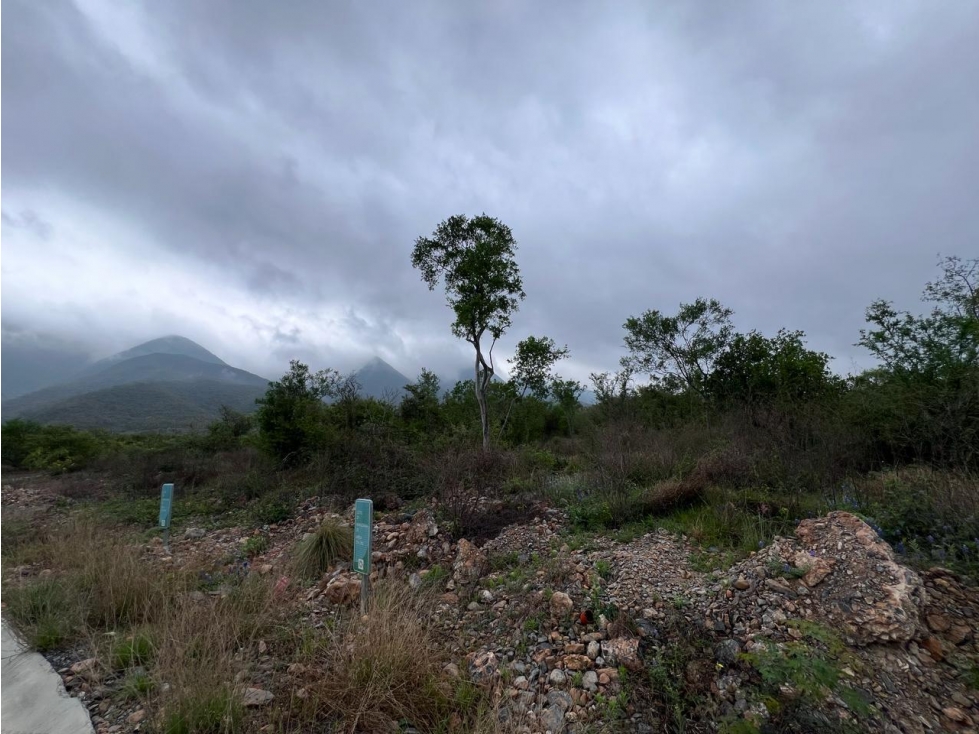 Terreno en Venta en Fraccionamiento Aysso, Santiago NL