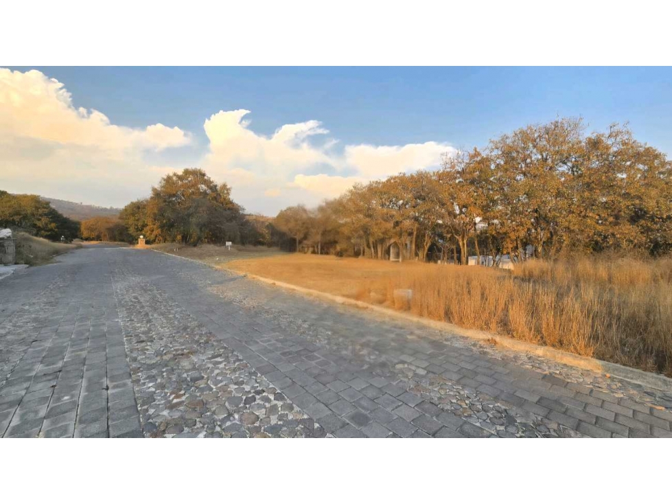 Terreno en Venta en Lago Norte, Haras Campestre - 5