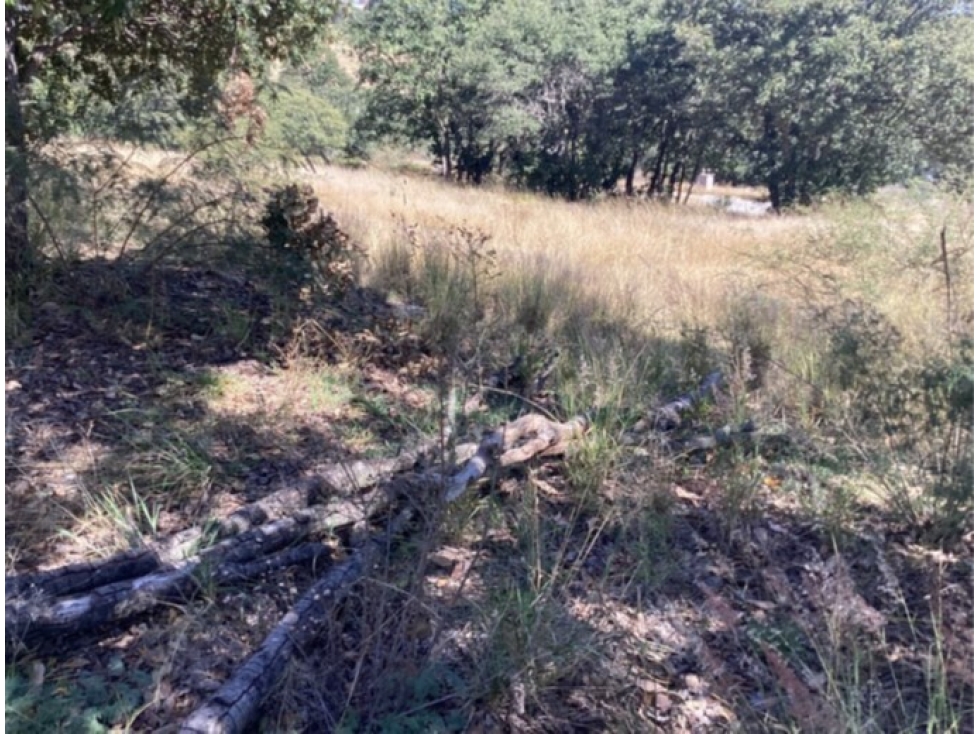 Terreno en Venta en Harás Ciudad Ecológica, Amozoc | 312.5 m² - 1