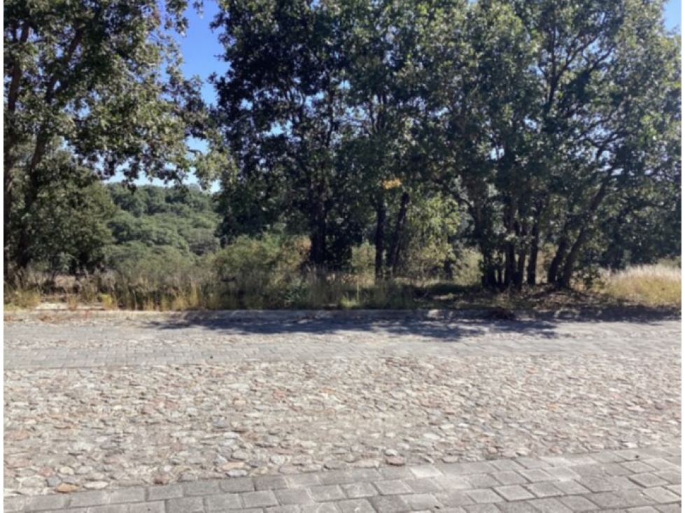 Terreno en Venta en Harás Ciudad Ecológica, Amozoc | 312.5 m² - 2