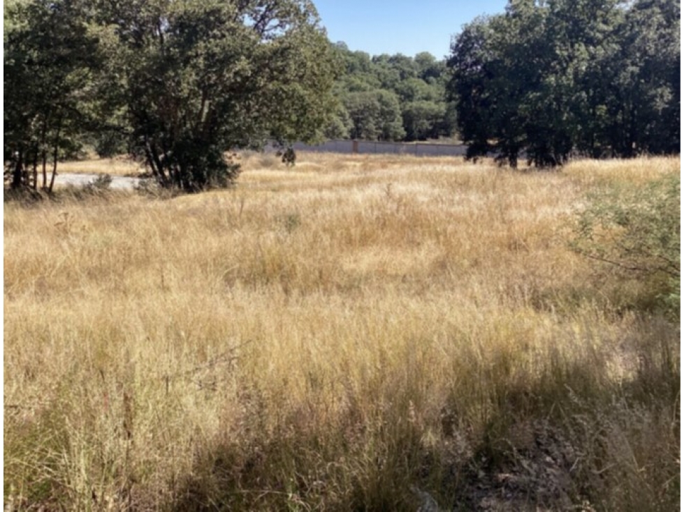 Terreno en Venta en Harás Ciudad Ecológica, Amozoc | 312.5 m² - 3