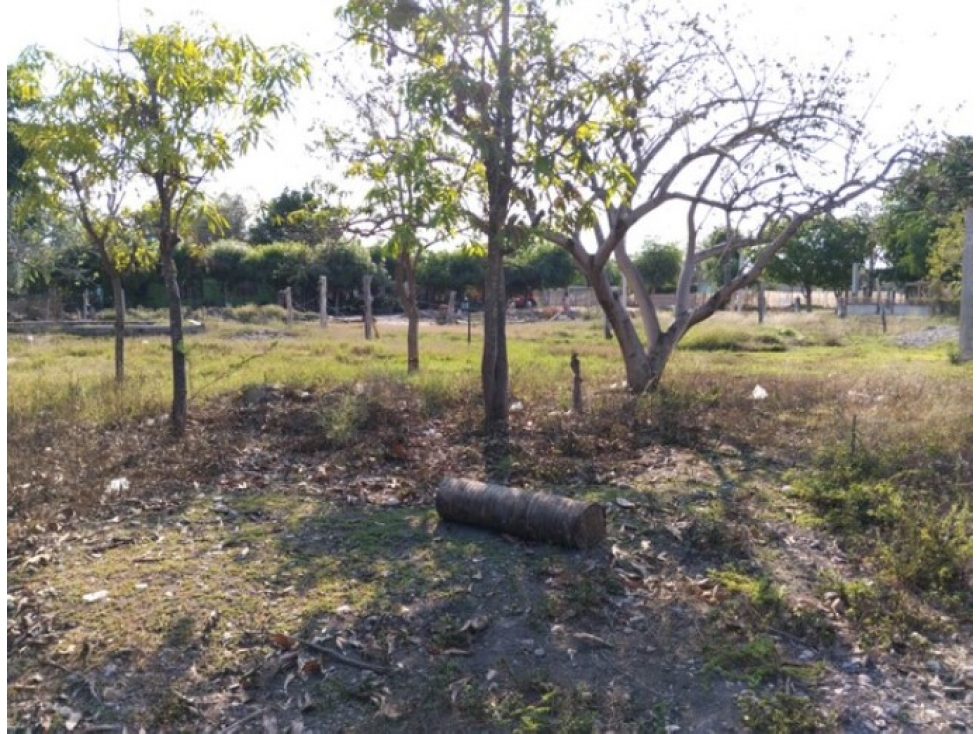 Terreno en Venta en La Michoacana, Navolato | 852 m² | Oportunidad - 2