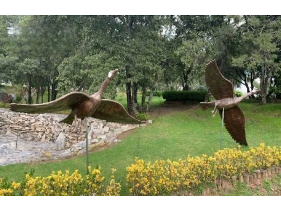 TERRENO EN VENTA EN LAGO NORTE, HARAS CAMPESTRE - 3