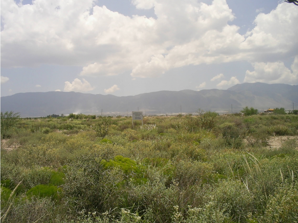 Terreno en Venta en Los Valdez, Arteaga - Gran Oportunidad de Inversió - 1
