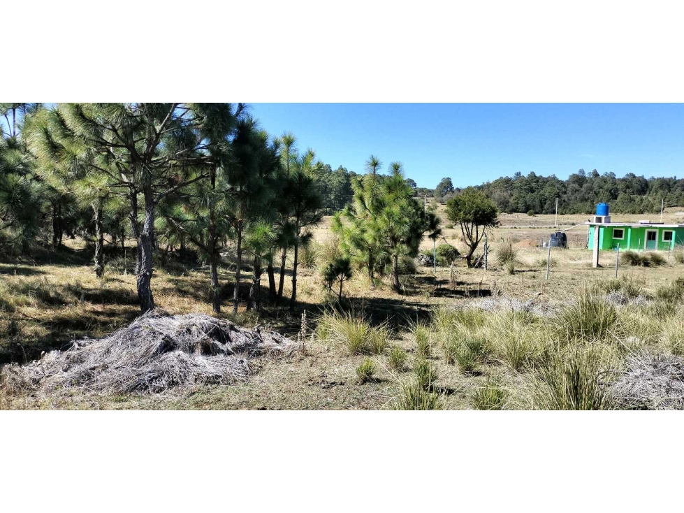 Terreno en venta en Mixquiapan, Hgo. — foto 3