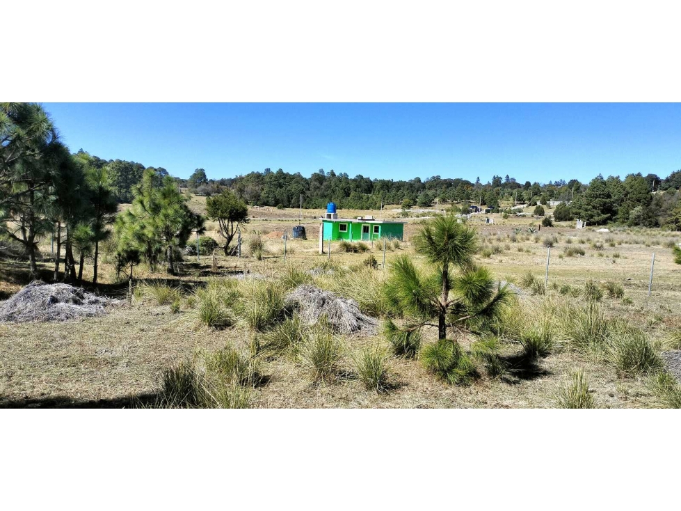 Terreno en venta en Mixquiapan, Hgo. — foto 4