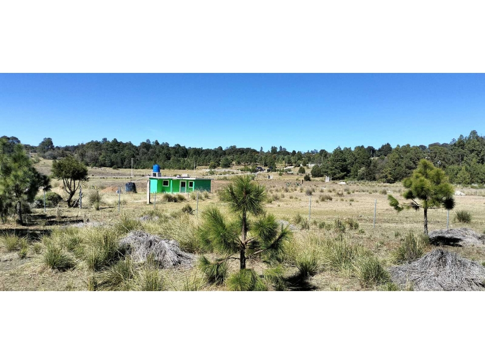 Terreno en venta en Mixquiapan, Hgo. — foto 5