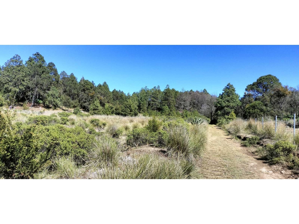 Terreno en venta en Mixquiapan, Hgo. — foto 6