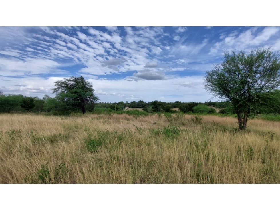 Terreno en venta en Montemorelos - 1