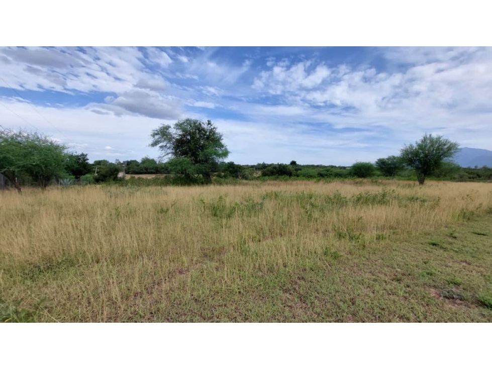 Terreno en venta en Montemorelos - 2
