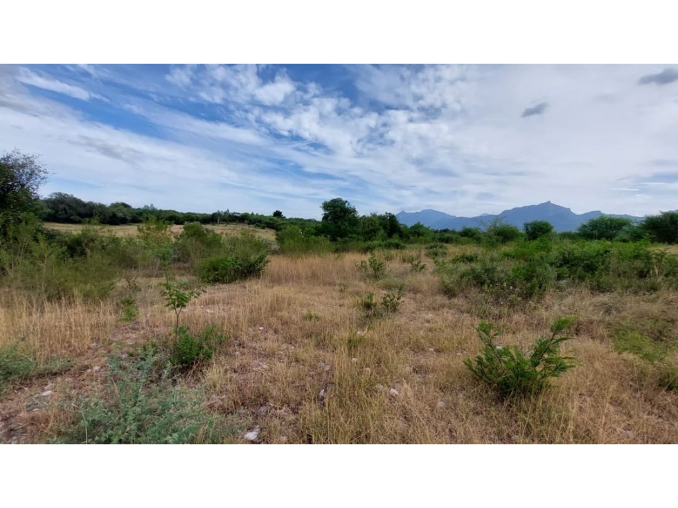 Terreno en venta en Montemorelos - 3