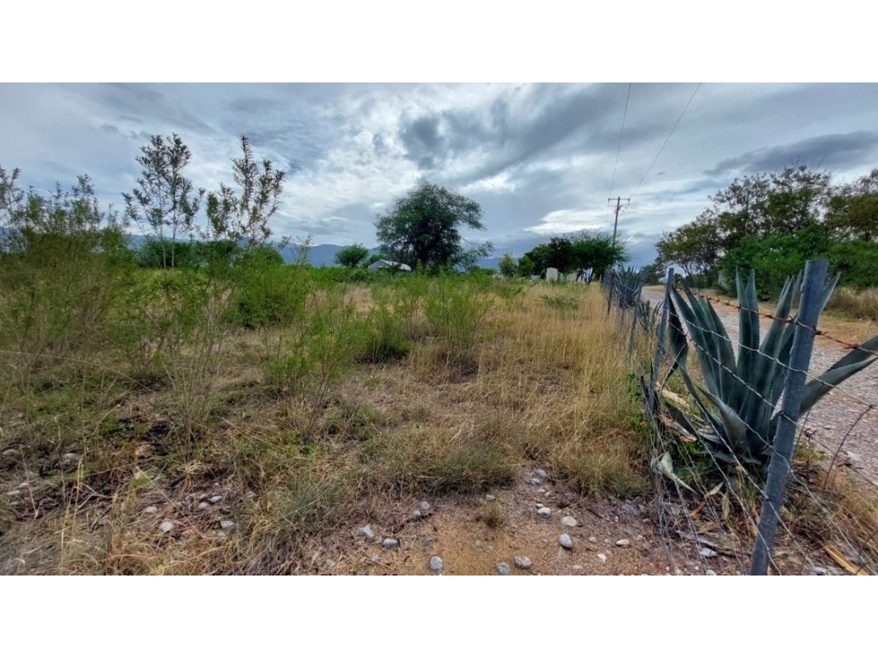 Terreno en venta en Montemorelos - 4