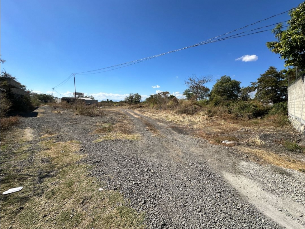 Terreno en venta en Morelos Chiconcuac - 6