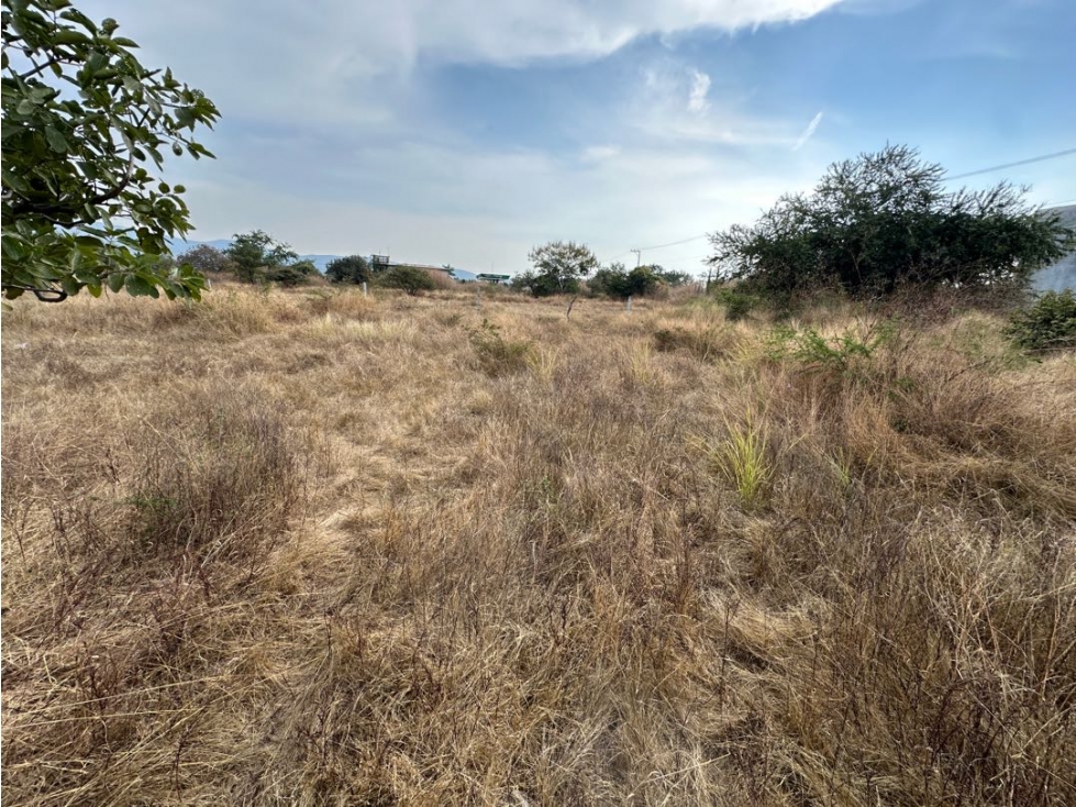 Terreno en venta en Morelos Chiconcuac - 3