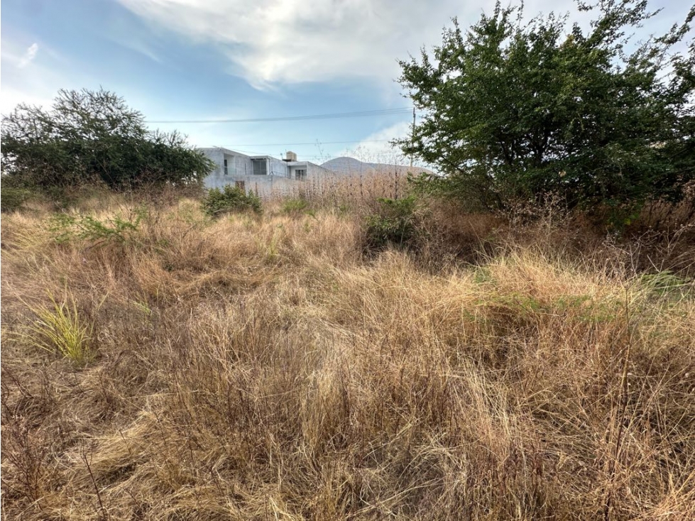Terreno en venta en Morelos Chiconcuac - 4
