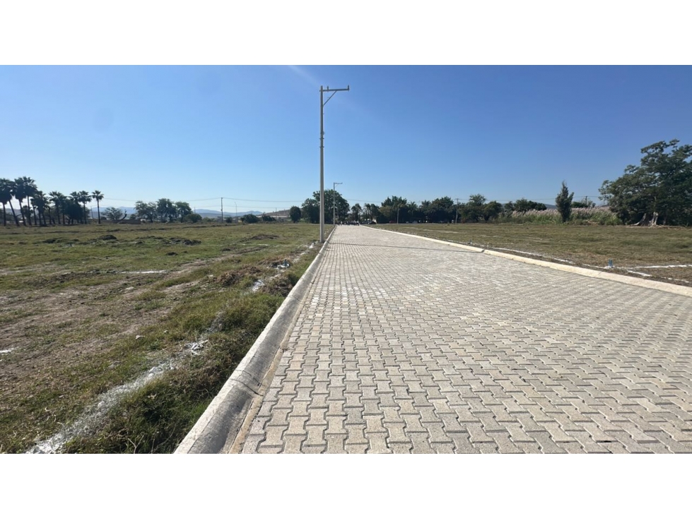 Terreno en venta en Morelos Villa de Ayala - 4