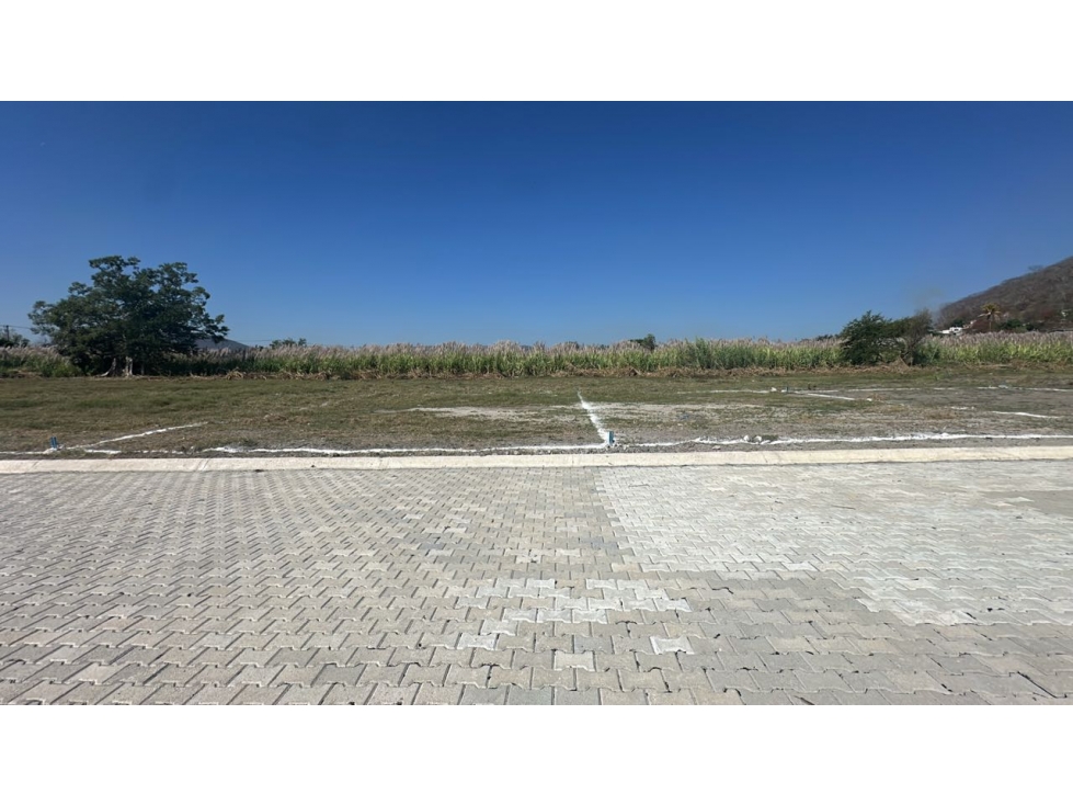 Terreno en venta en Morelos Villa de Ayala - 5