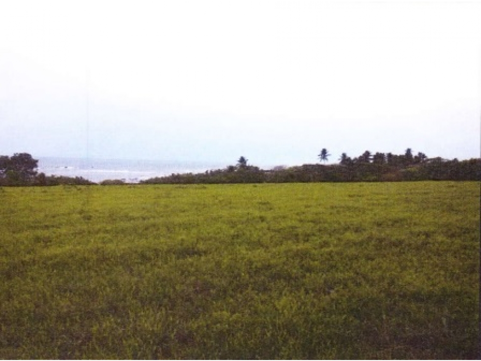 ¡Terreno en Venta en Pedasí! +200 Hectáreas Frente al Mar - 3