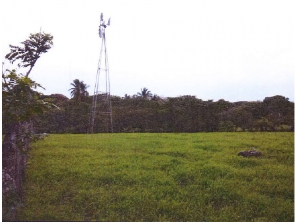 ¡Terreno en Venta en Pedasí! +200 Hectáreas Frente al Mar - 2