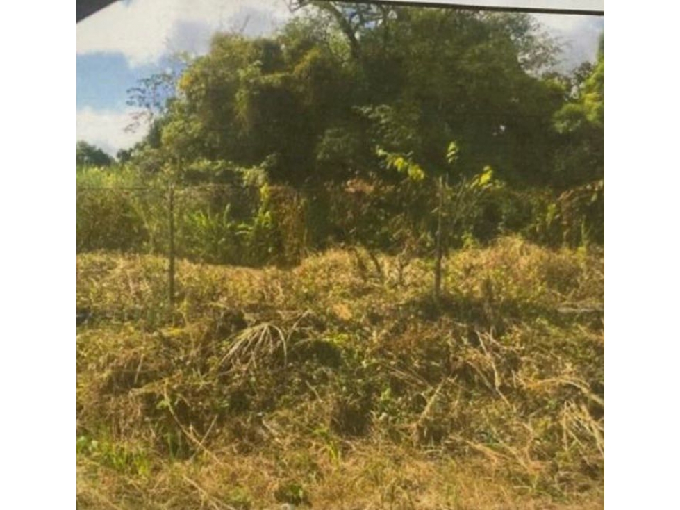 Terreno en venta en Pedregal para desarrollo — foto 2