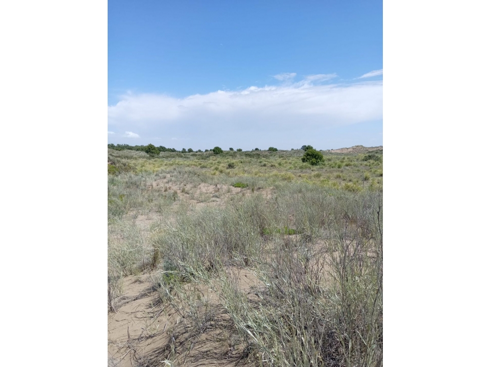 Terreno en venta en PLAYA SERENA - MONTE HERMOSO - CALLE SAN CLEMENTE - 1