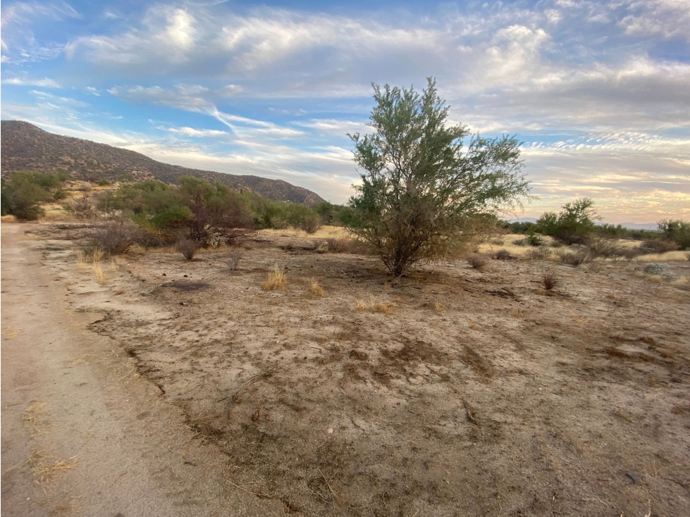 Terreno en Venta en Predio La Caridad, Hermosillo - Oportunidad Única - 1