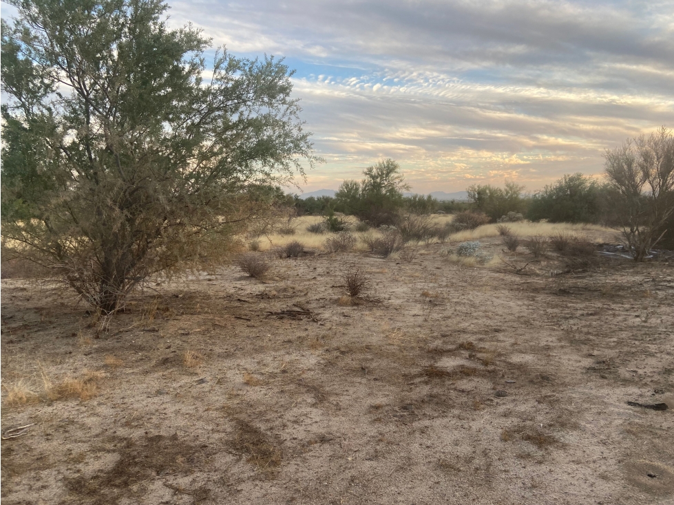 Terreno en Venta en Predio La Caridad, Hermosillo - Oportunidad Única - 2