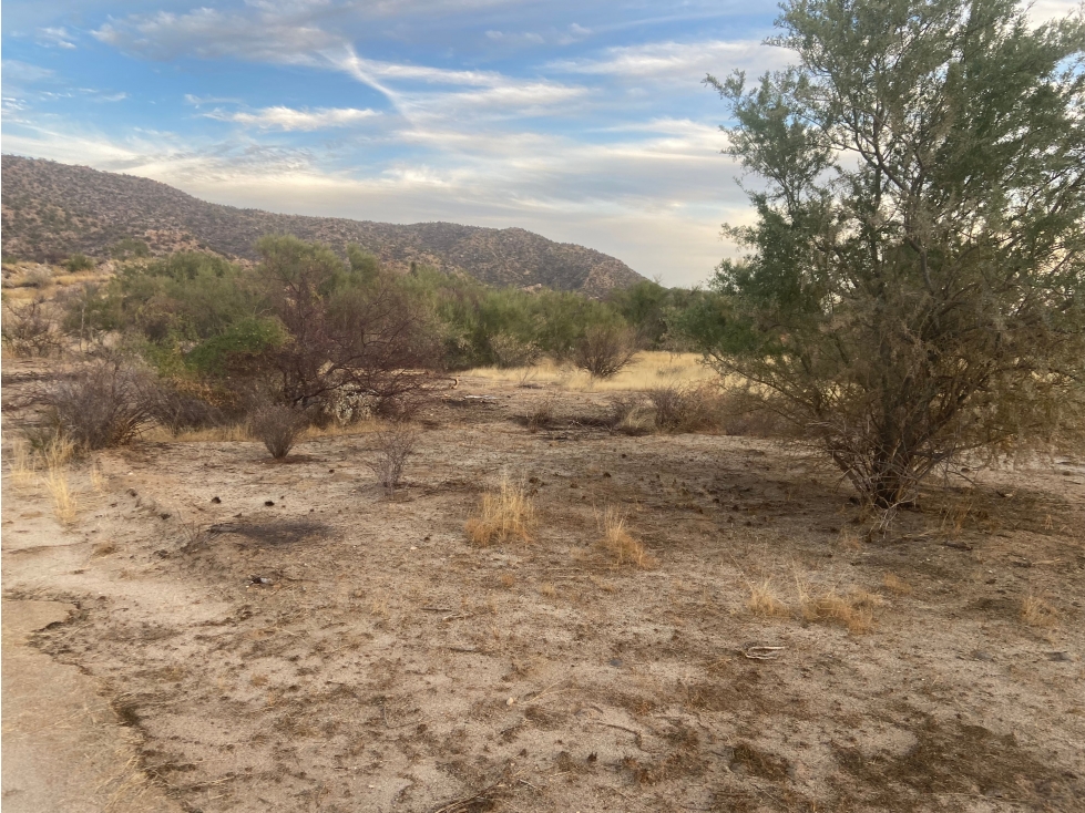 Terreno en Venta en Predio La Caridad, Hermosillo - Oportunidad Única - 3