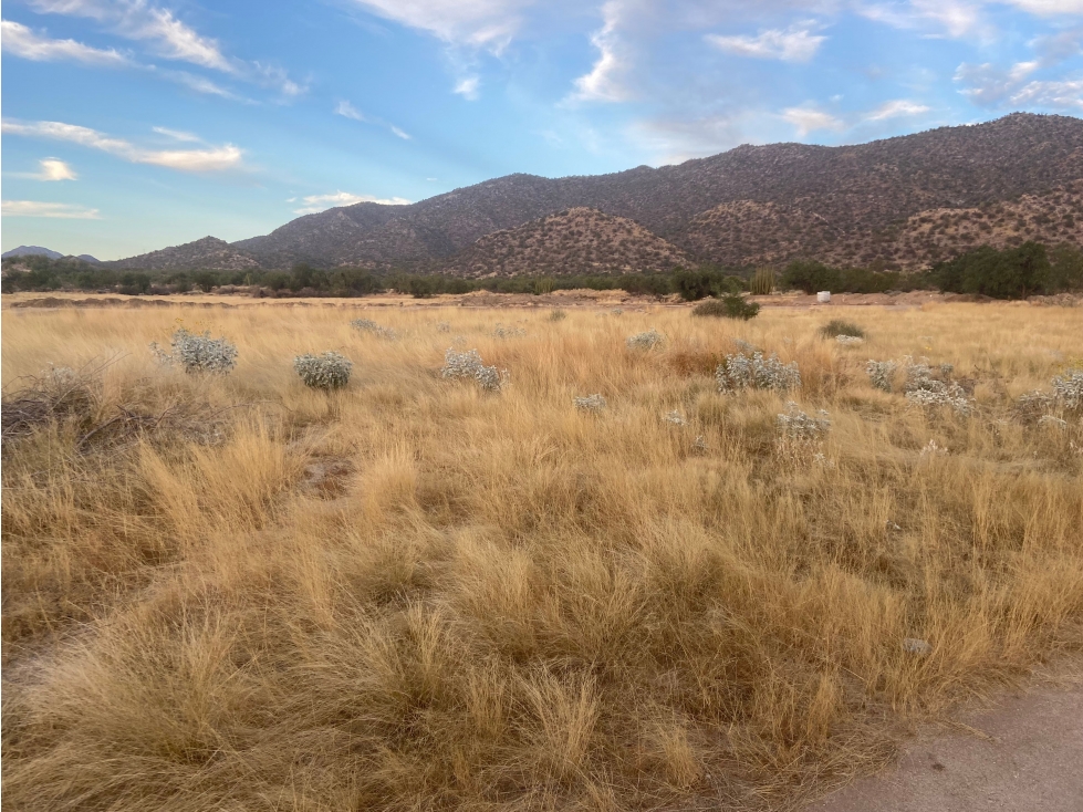 Terreno en Venta en Predio La Caridad, Hermosillo - Oportunidad Única - 5