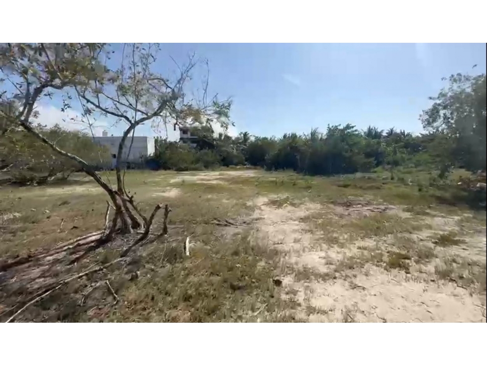 Terreno en Venta en Punta Coco, Holbox - 1