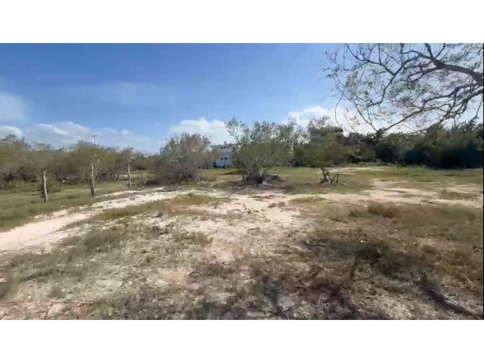 Terreno en Venta en Punta Coco, Holbox - 3