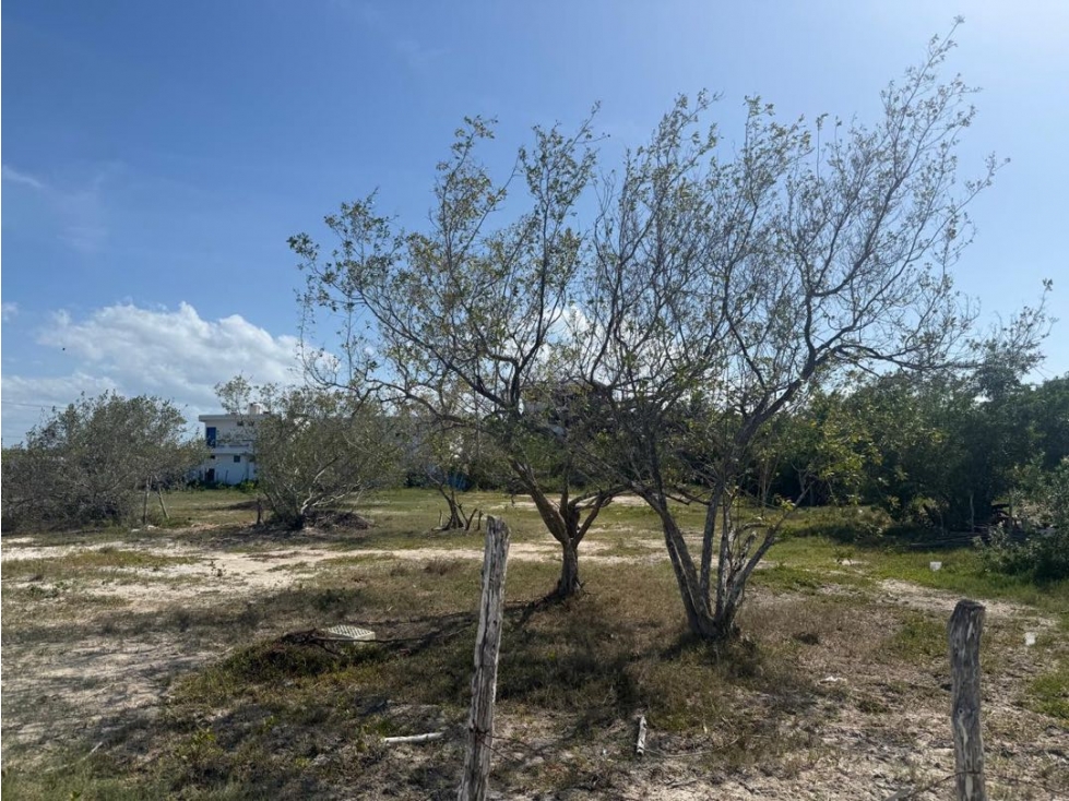 Terreno en Venta en Punta Coco, Holbox - 4