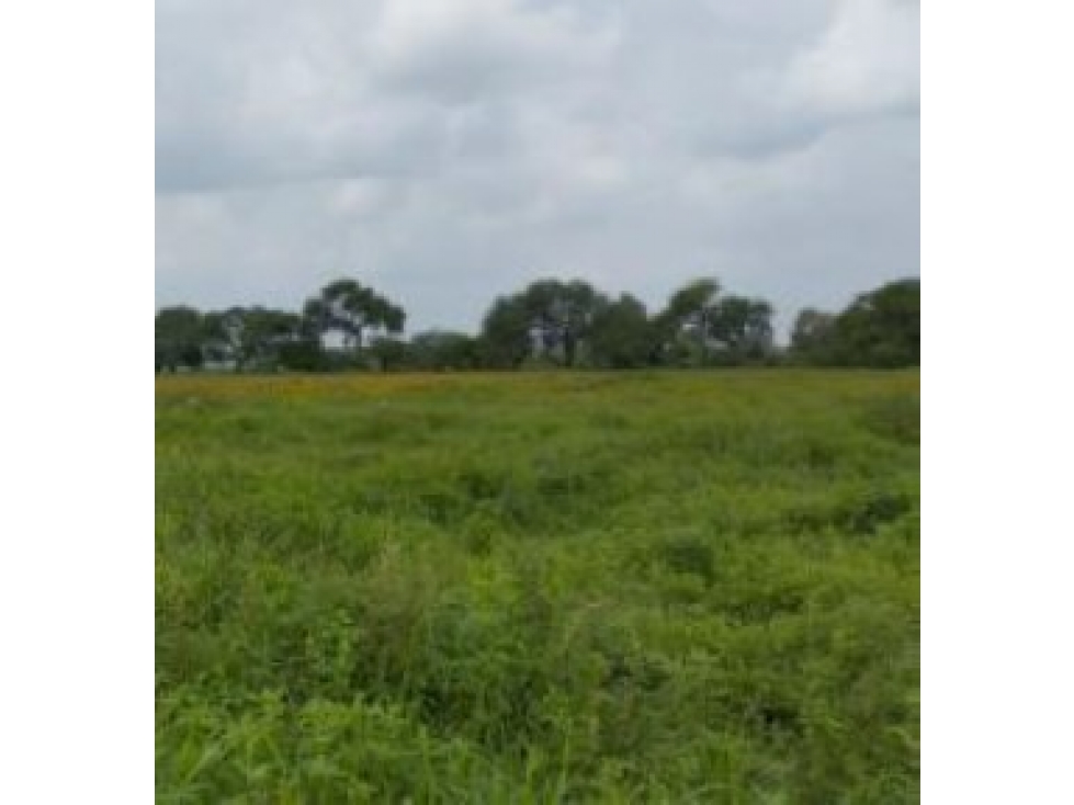 Terreno en Venta en San Antonio, Vista Hermosa | Oportunidad Inversión - 1