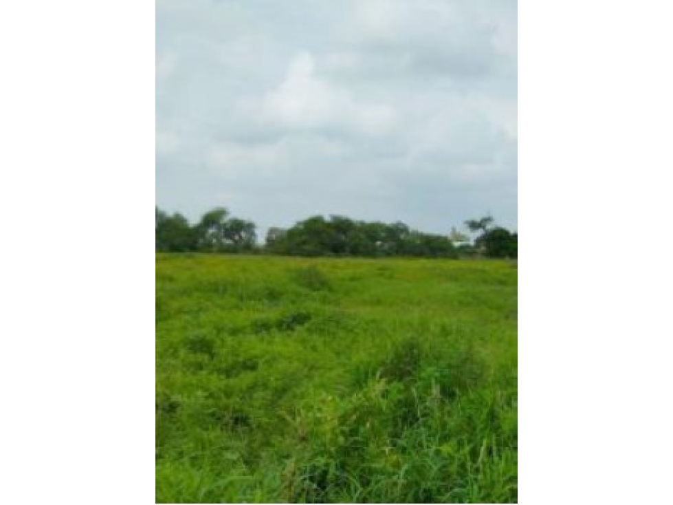 Terreno en Venta en San Antonio, Vista Hermosa | Oportunidad de Invers - 3