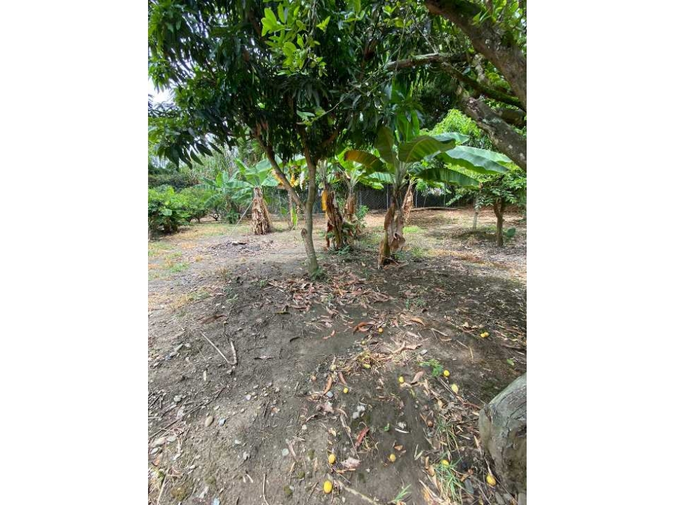 TERRENO EN VENTA EN SANTA HELENA CERRITO VALLE - 3