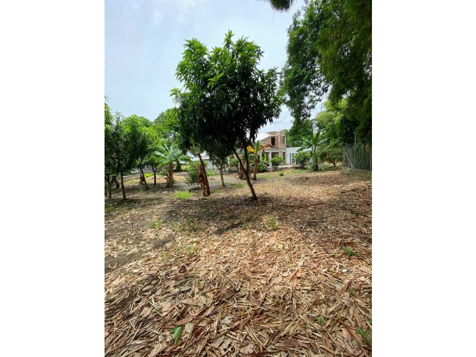TERRENO EN VENTA EN SANTA HELENA CERRITO VALLE - 5
