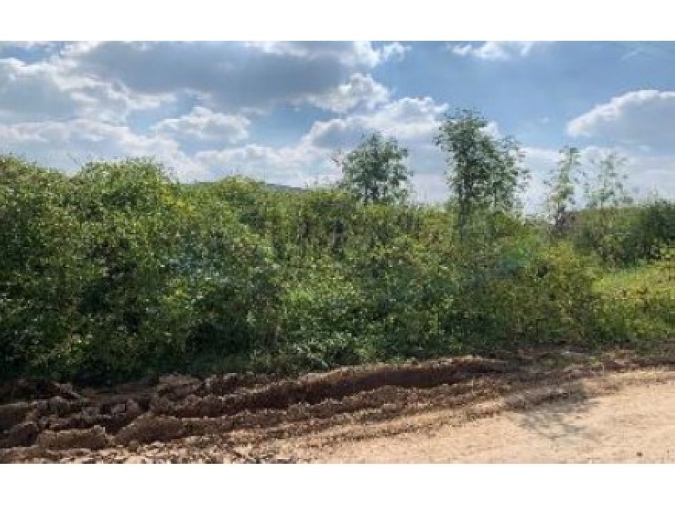 Terreno en Venta en Zapote del Valle, Tlajomulco - 482 m² - 1