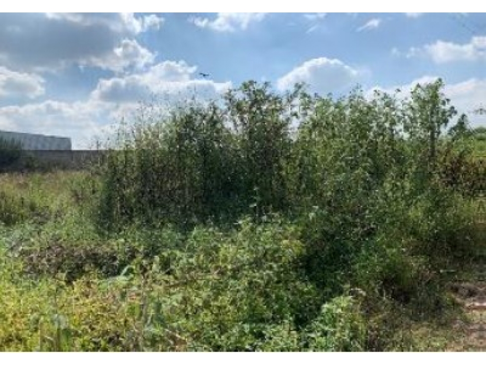 Terreno en Venta en Zapote del Valle, Tlajomulco - 482 m² - 3
