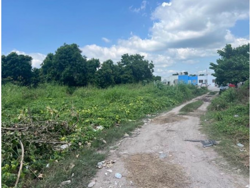 Terreno en Venta - Fracc. del Valle, Escuinapa, Sinaloa