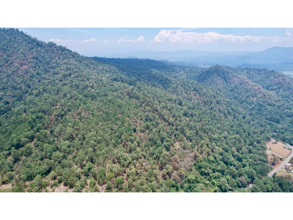 Terreno en Venta | Godínez | Valle de Bravo - 4