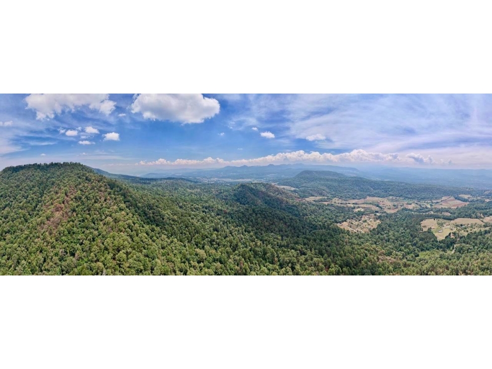 Terreno en Venta | Godínez | Valle de Bravo - 5