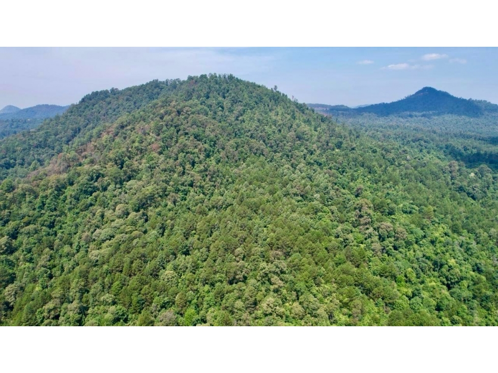 Terreno en Venta | Godínez | Valle de Bravo - 6