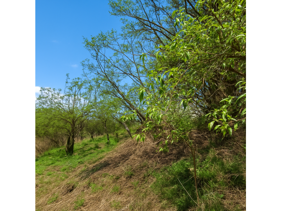 Terreno en venta. Guadalupe Victoria - 1