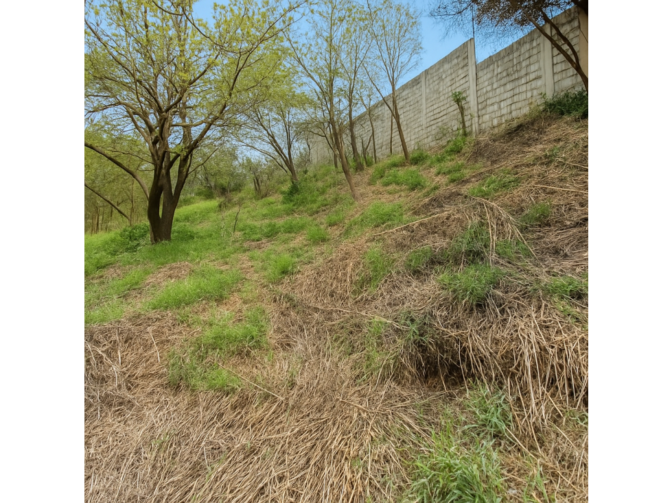 Terreno en venta. Guadalupe Victoria - 6