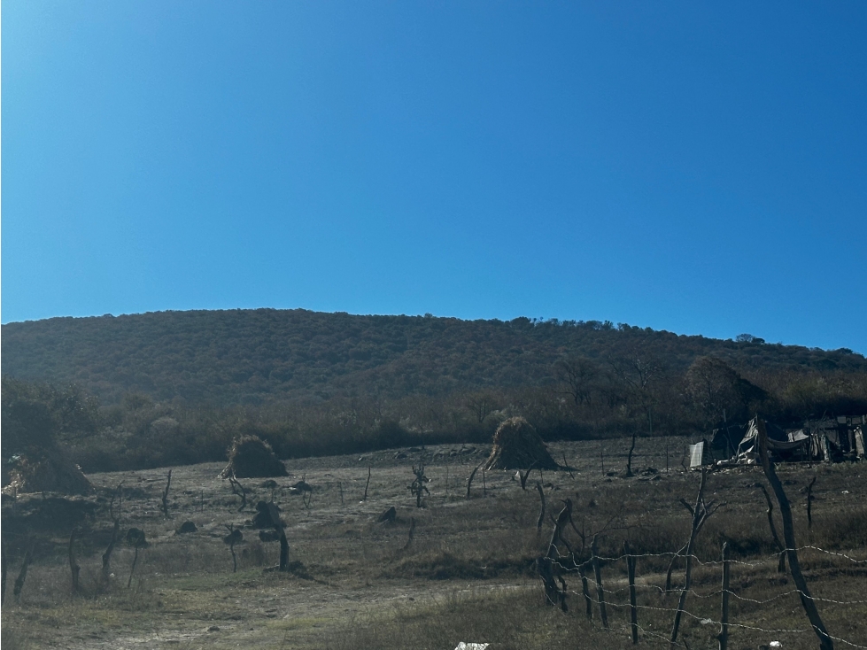 Terreno en Venta Hacienda San Isidro, Tlajomulco | Oportunidad Ideal - 1