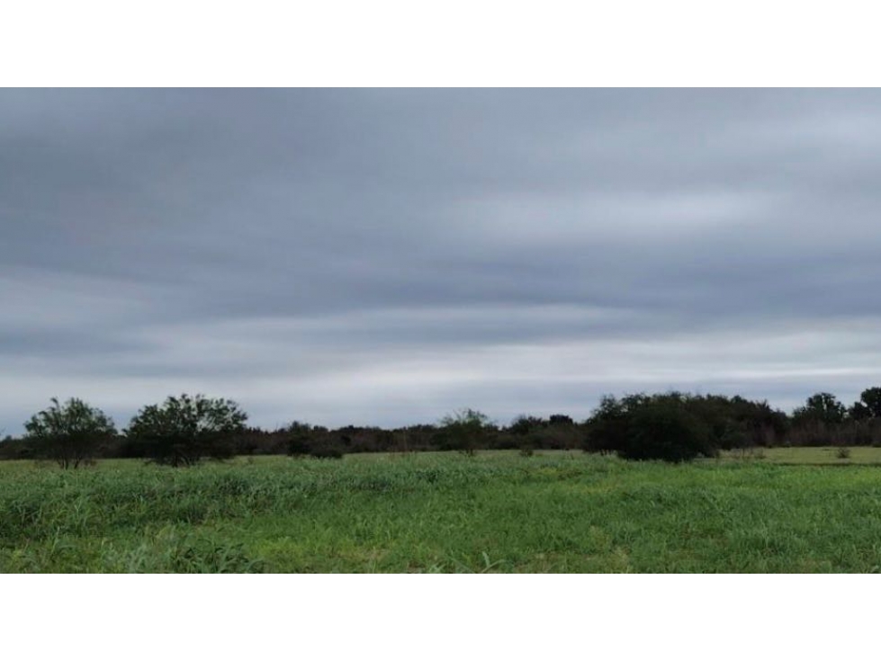 TERRENO EN VENTA LA ARENA PESQUERIA - 2