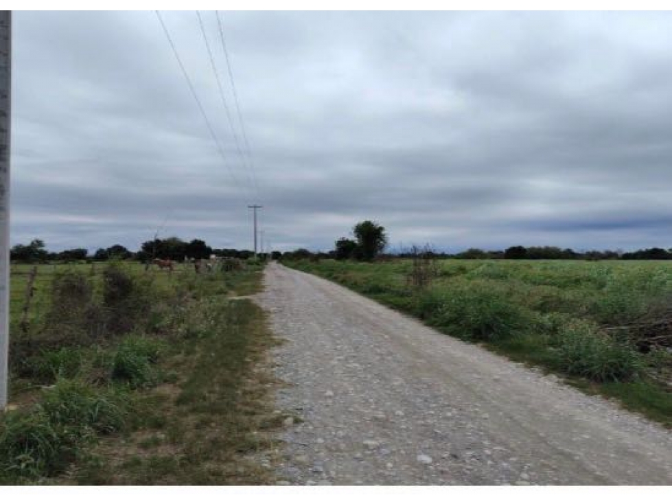 TERRENO EN VENTA LA ARENA PESQUERIA - 4