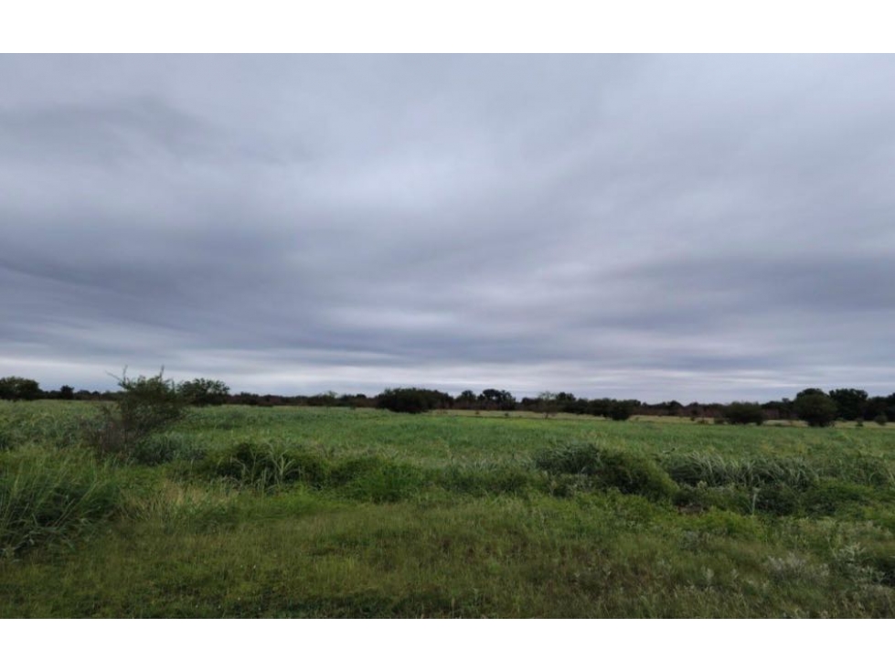 TERRENO EN VENTA LA ARENA PESQUERIA - 6